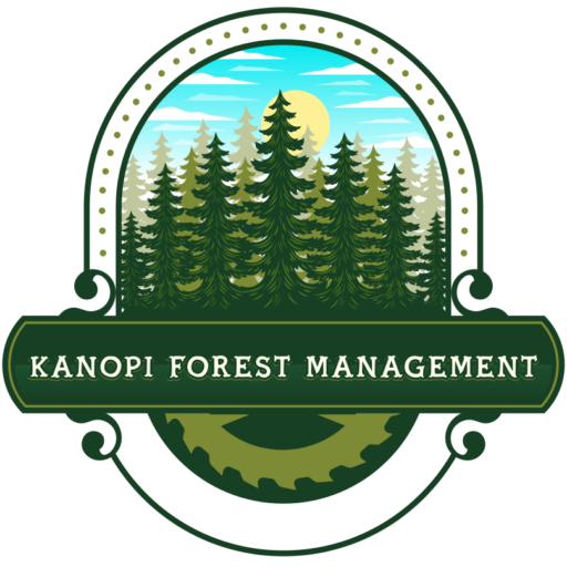Kanopi